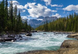 river, rocks, trees-5765786.jpg